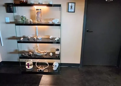 Collections of bones and skulls in the shelf beside the rest room